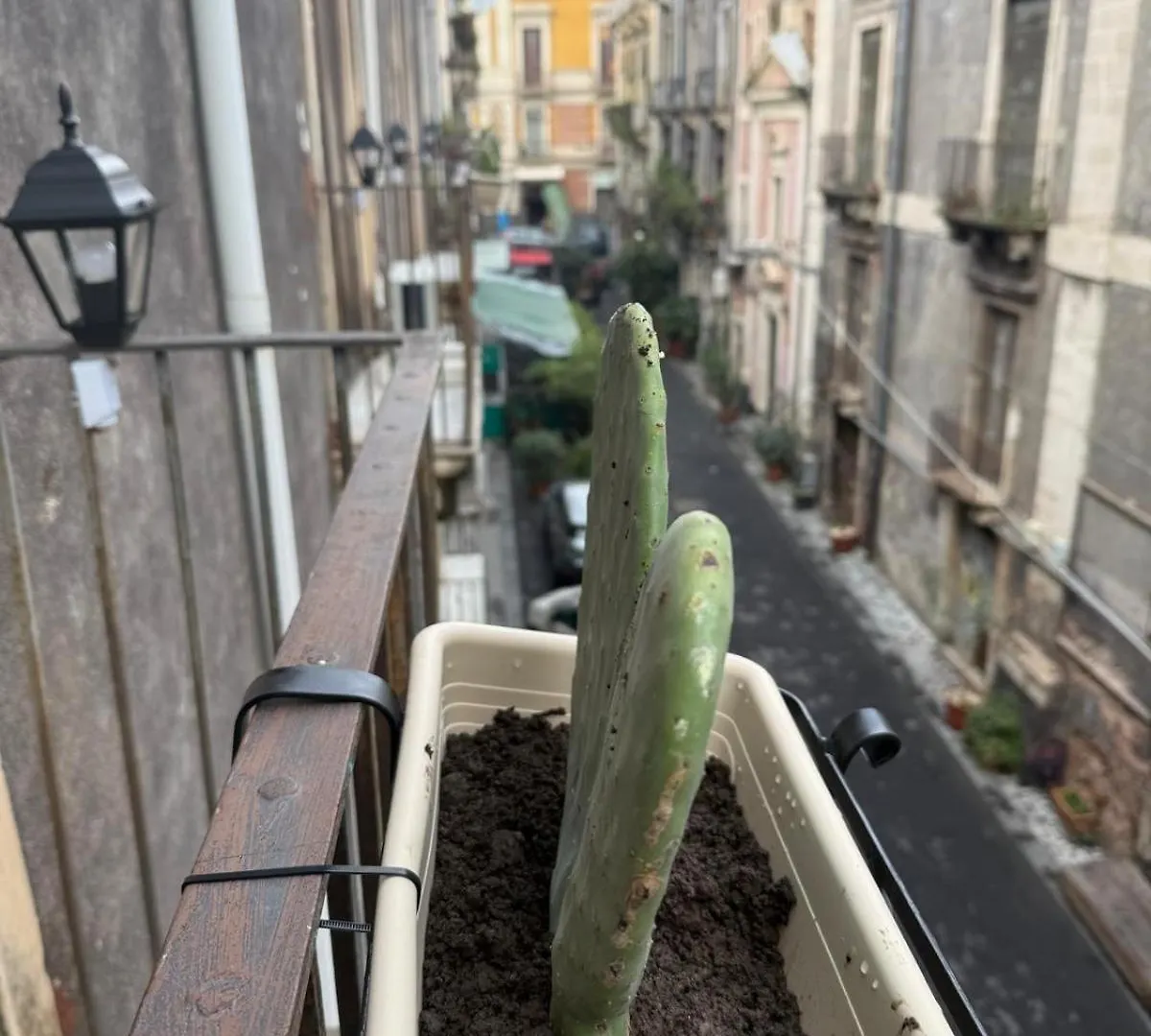 Antica Sicilia Rooms And Breakfast Catania